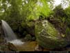 Panorama: Madagascar rainforest stream 