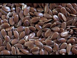 Flax seeds, Linum usitatissimum