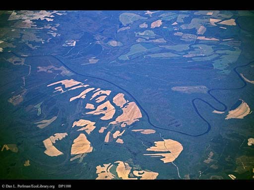 Deforestation: Clearcuts near river (aerial), North Carolina, USA