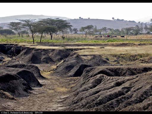 Erosion near Arusha, Tanzania