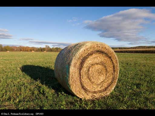 Hay roll in Wisconsin field