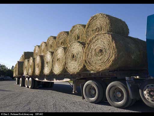Truck carrying tons of hay, Montana